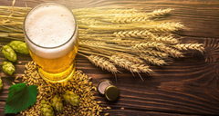 Nitrosamine in Beer