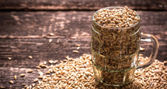 Nitrosamine in Malt
